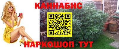 хмурый Жуковский