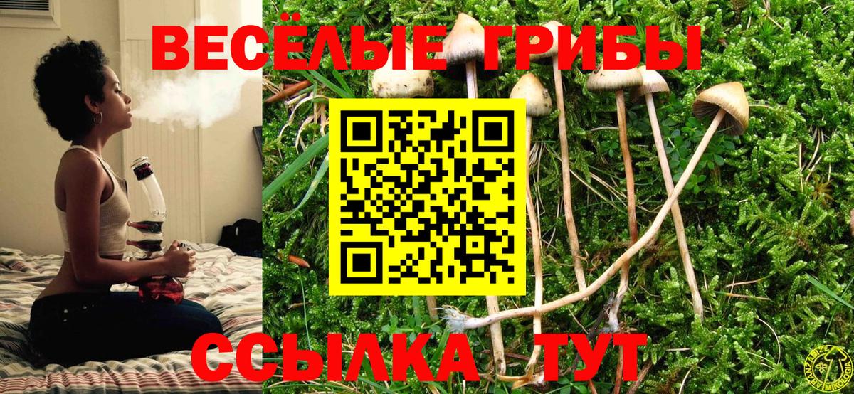 Псилоцибиновые грибы MAGIC MUSHROOMS  закладки  Мурино  Вход с VPN 